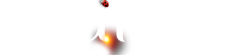 5 老子有钱lzyq88(中国)有限公司官网